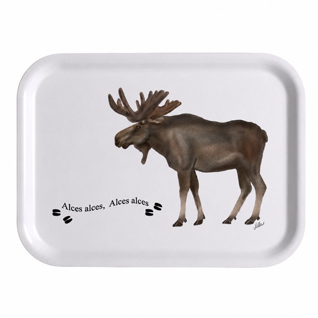 Tray Elk L.27cm, W.20cm